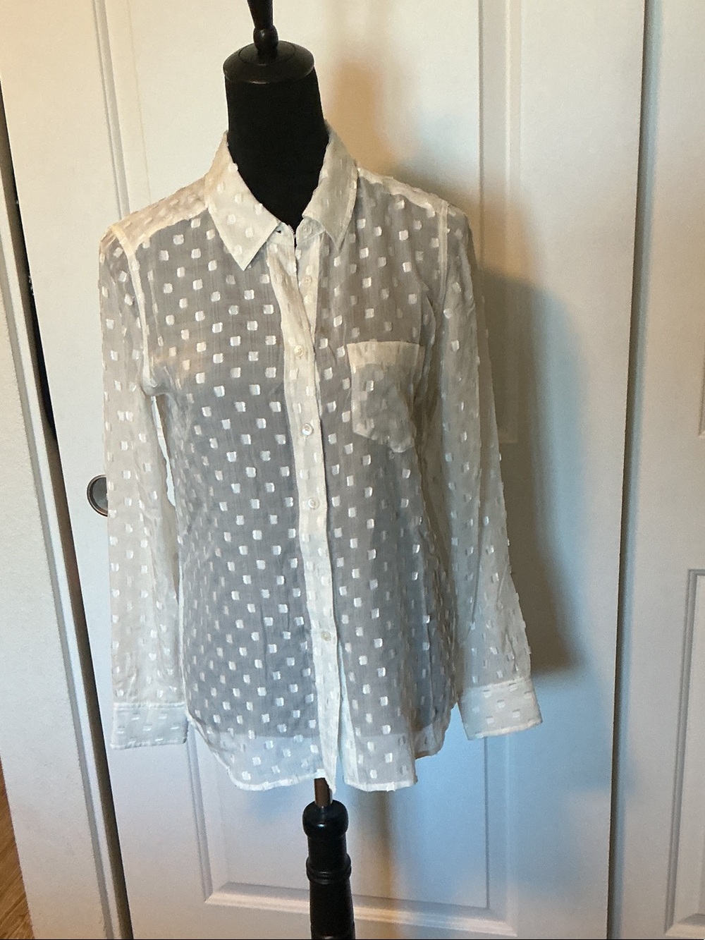Equipment Femme Sheer White Swiss Dot Button-Up Blouse S